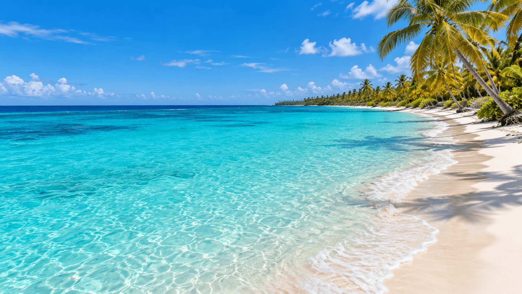 Saona Island: Catamaran, Natural Pool & Lunch
