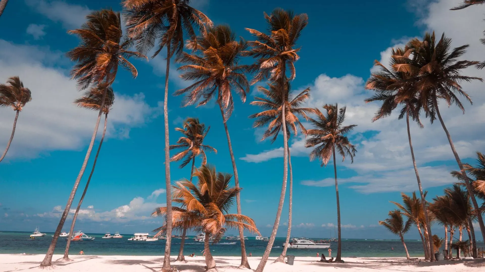 EXPLORE WITH ME THE PARADISIACAL WORLD OF PUNTA CANA